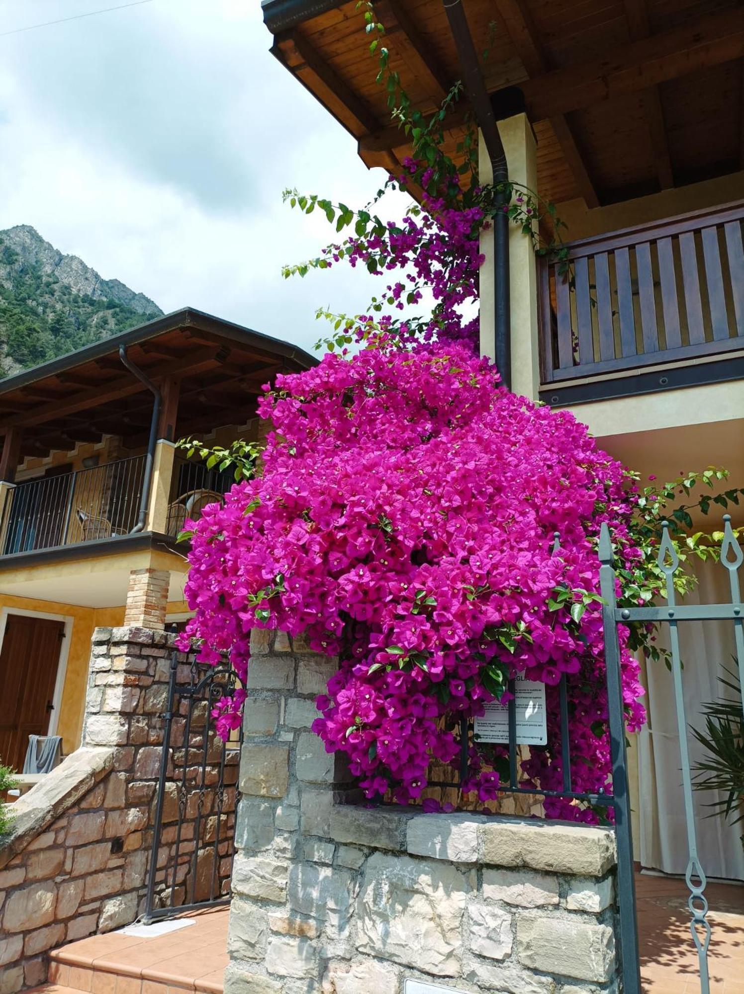 Villa Fior Di Loto Limone sul Garda Eksteriør bilde